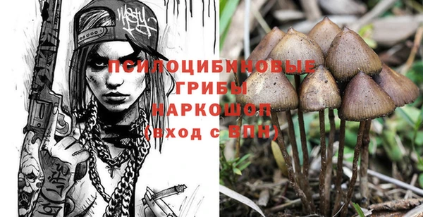 мяу мяу мука Алексин